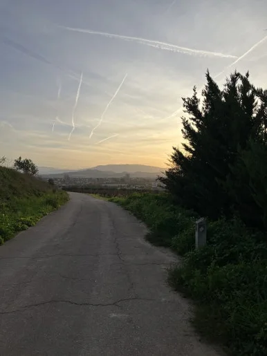 IMG_2902.jpg?type=w386