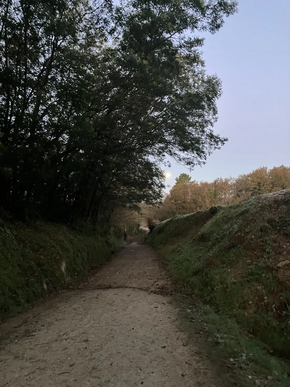 IMG_9099.jpg?type=w1