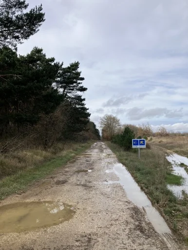 IMG_3640.jpg?type=w386