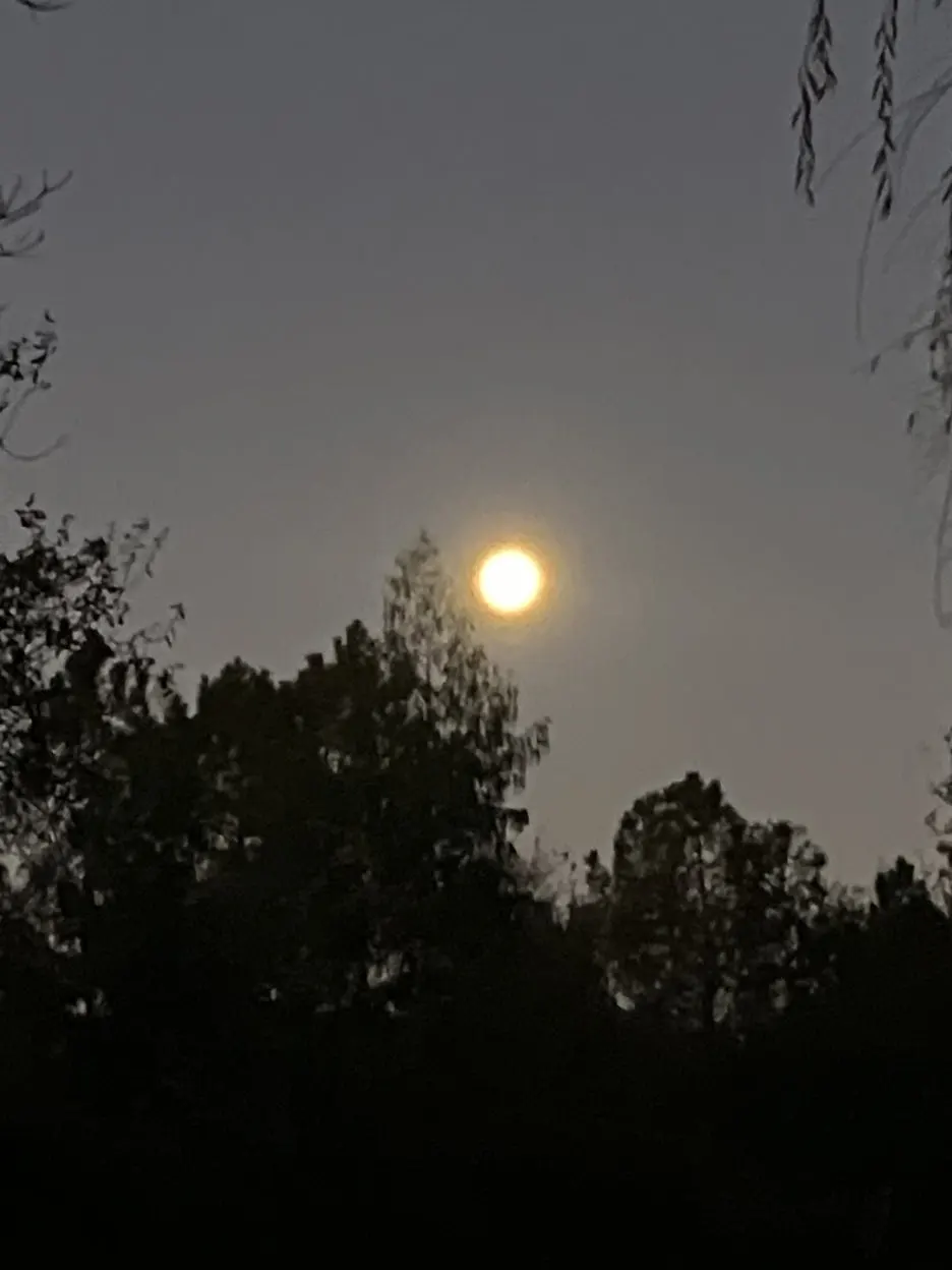 IMG_9090.jpg?type=w1