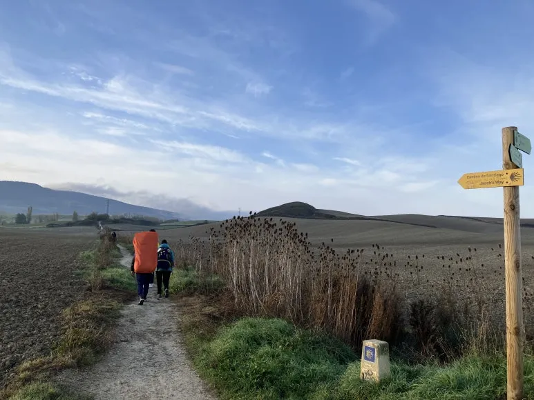 IMG_2317.jpg?type=w773