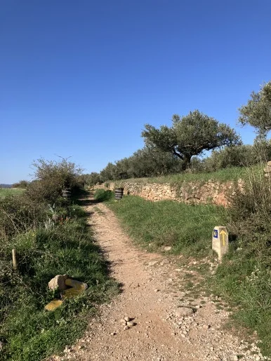 IMG_2470.jpg?type=w386