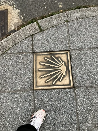 IMG_3108.jpg?type=w386