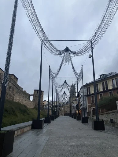 IMG_7244.jpg?type=w386