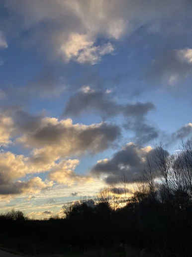 IMG_6610_2.jpg?type=w386