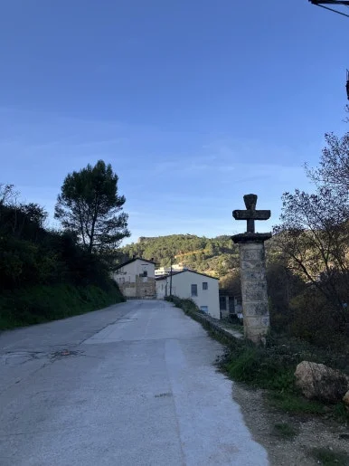 IMG_2530.jpg?type=w386