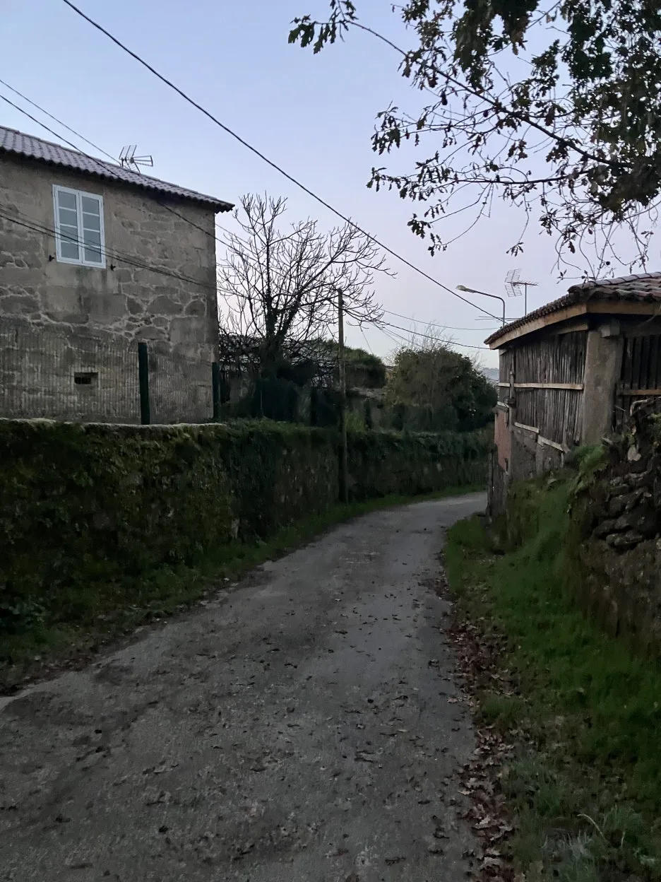 IMG_9102.jpg?type=w1