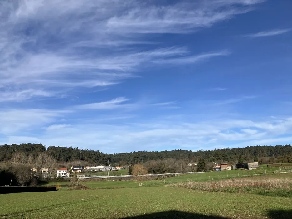 IMG_9622.jpg?type=w1