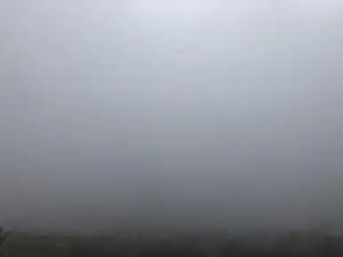 IMG_4678.jpg?type=w386