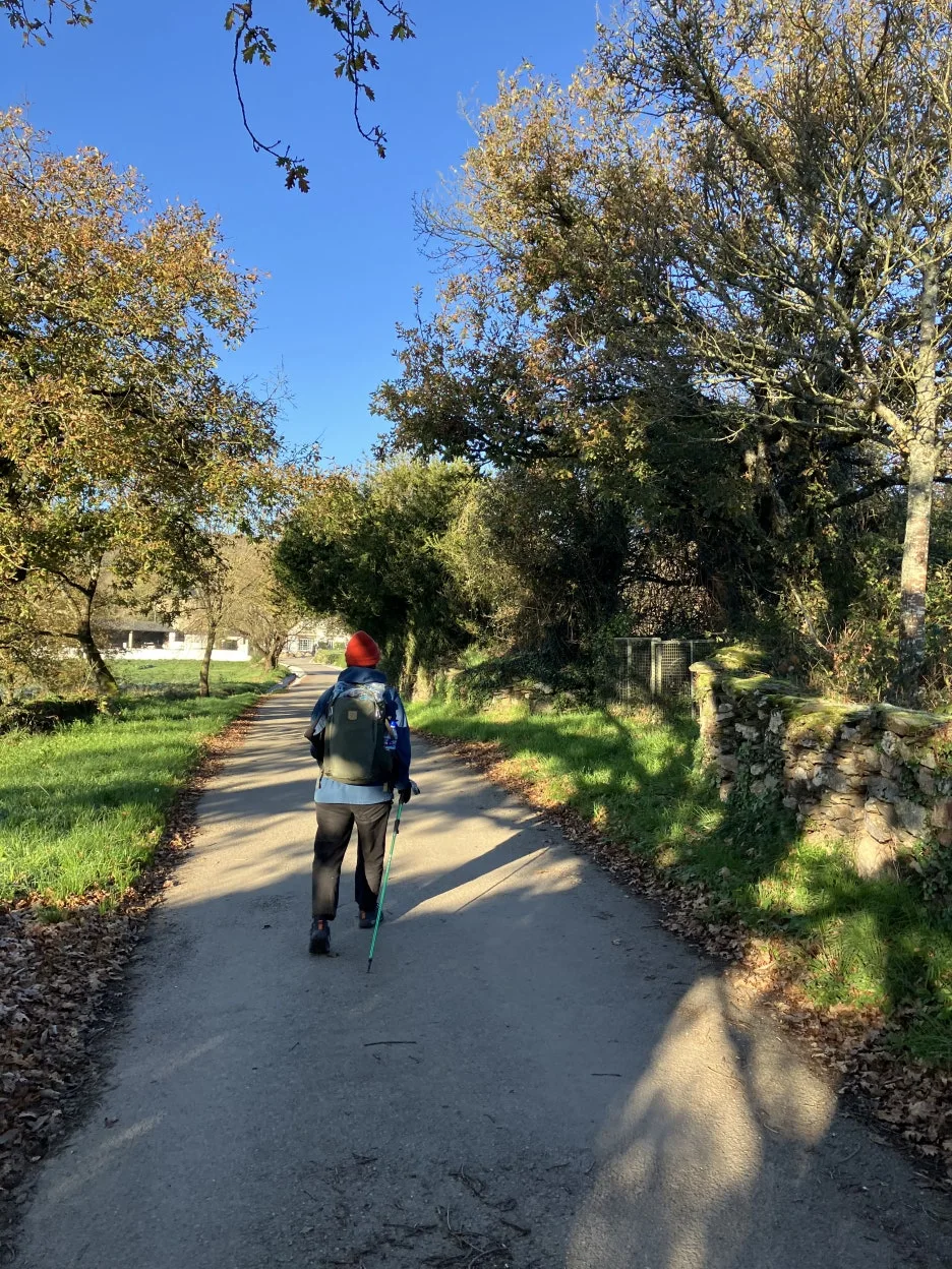 IMG_8866.jpg?type=w1