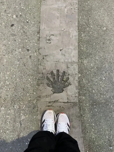 IMG_4583.jpg?type=w386