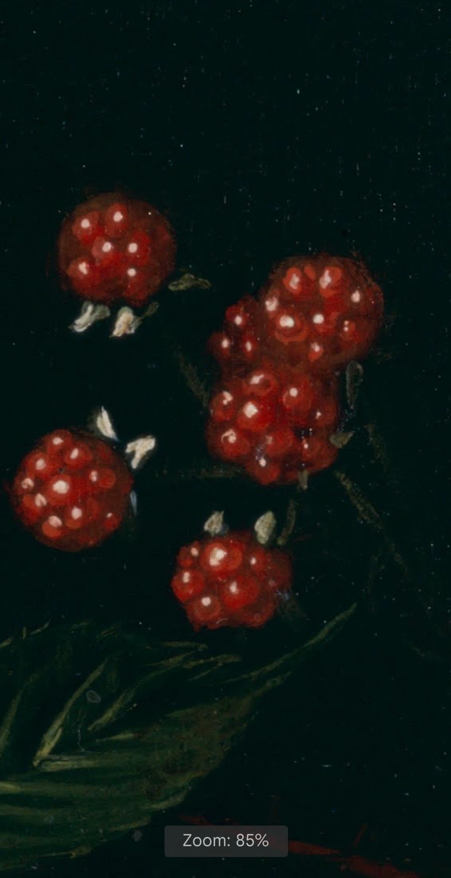 output_4053261034.jpg?type=w966