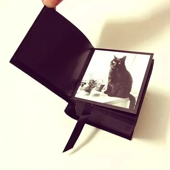 %E5%B9%BF%E7%85%9C%E3%80%8AMr.White%E3%80%8B-1.jpeg?type=w1200