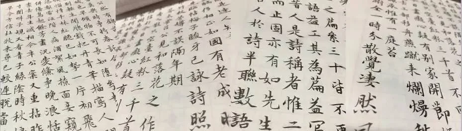 image_9231117931552129042863.jpg?type=w1200