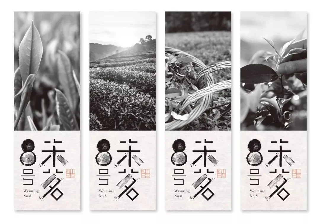 %E6%9C%AA%E8%8C%978%E5%8F%B7_--2.jpg?type=w1200