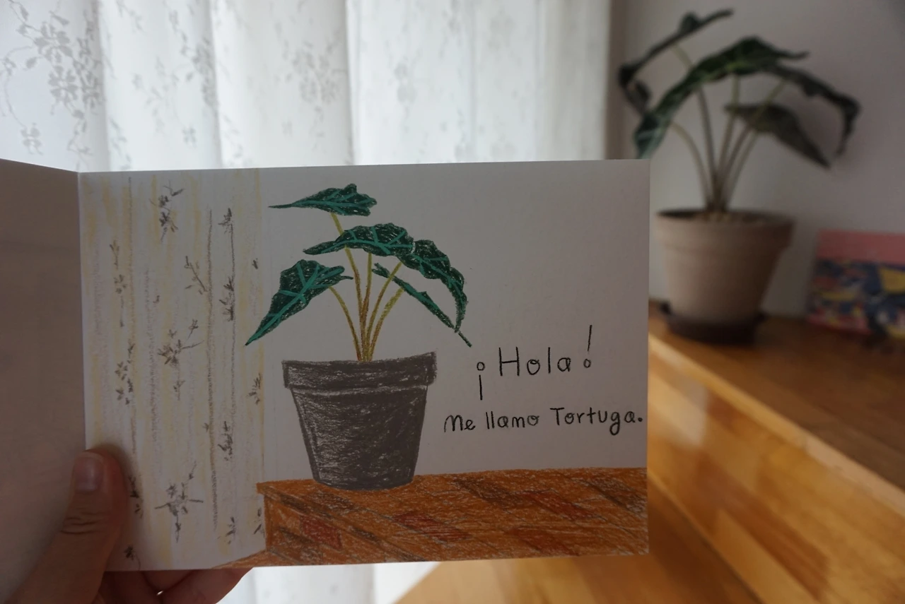 tortuga.JPG