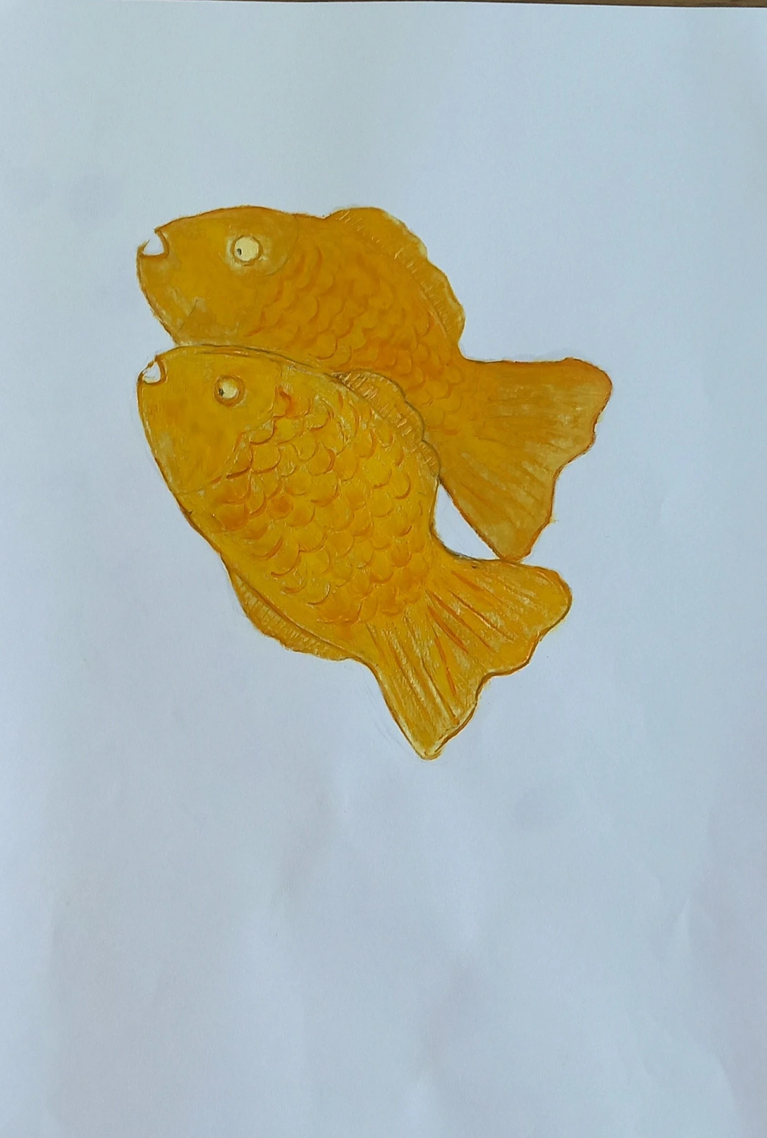 9zpESpUakzu0Hobo8uiInA9t8yI