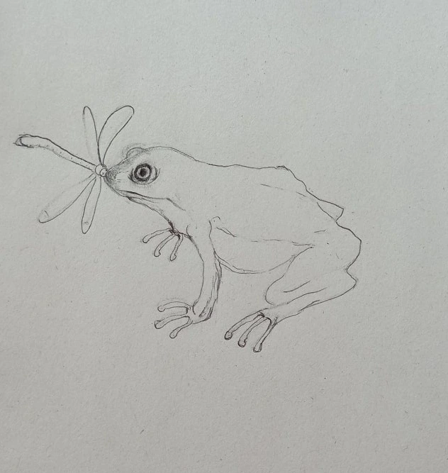 _2V2GVMu_N_vxczKHKnUlL0NlE8