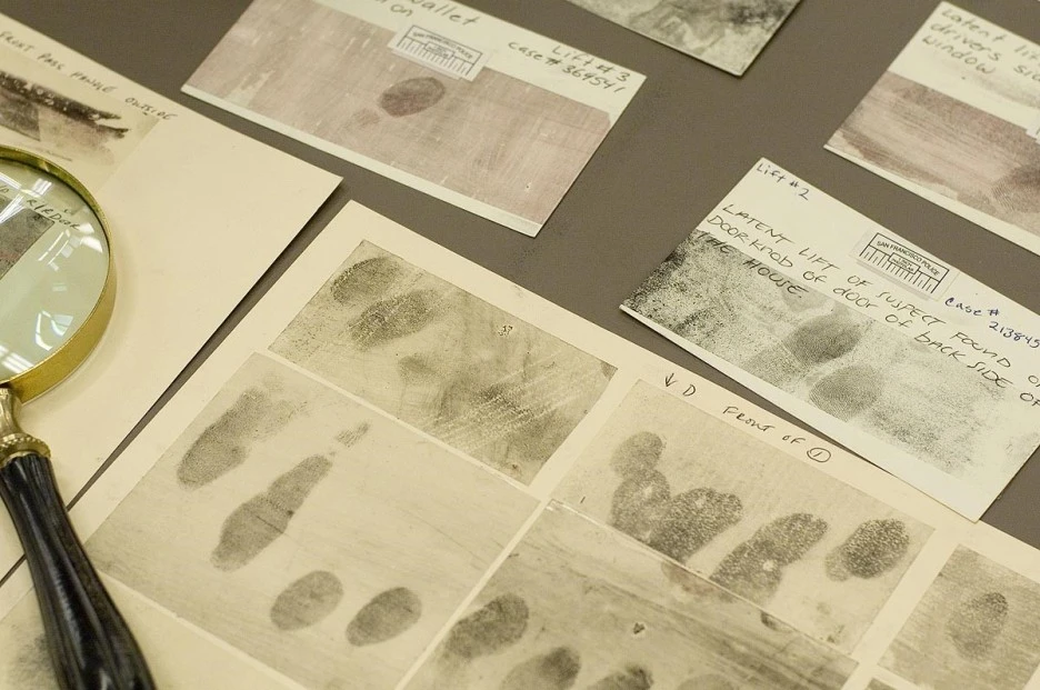 common_(1).jpg?type=w1