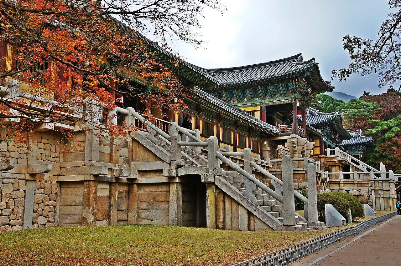 66805457a235cc2c3a0f4782ebc49806.jfif