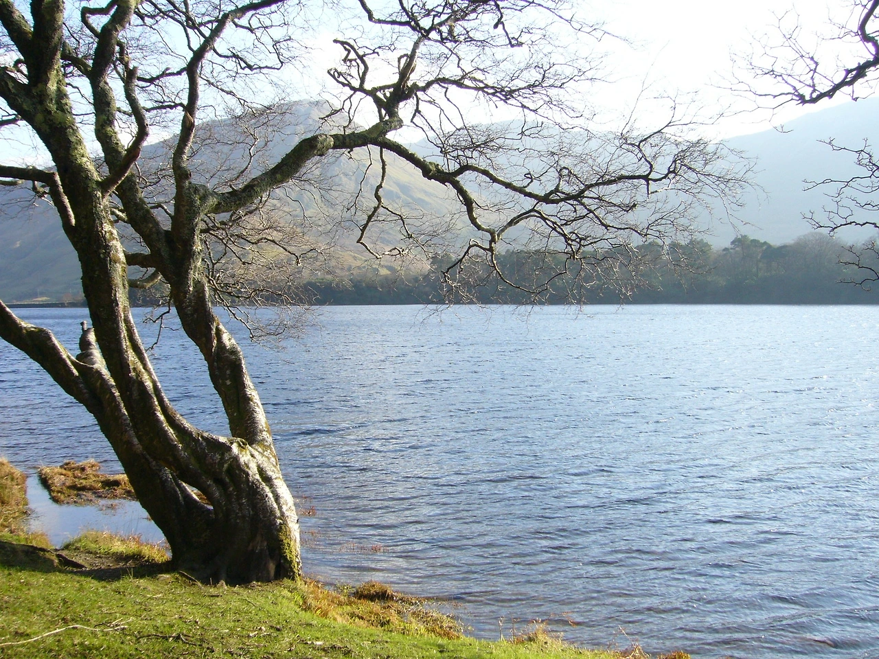 2008.02.10 Galway-200.JPG