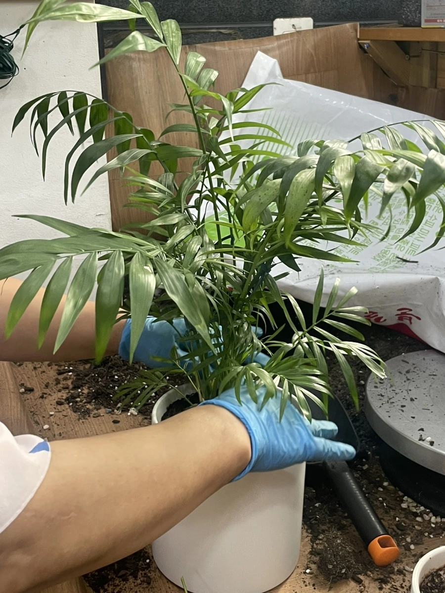 IMG_8458.jpg?type=w1