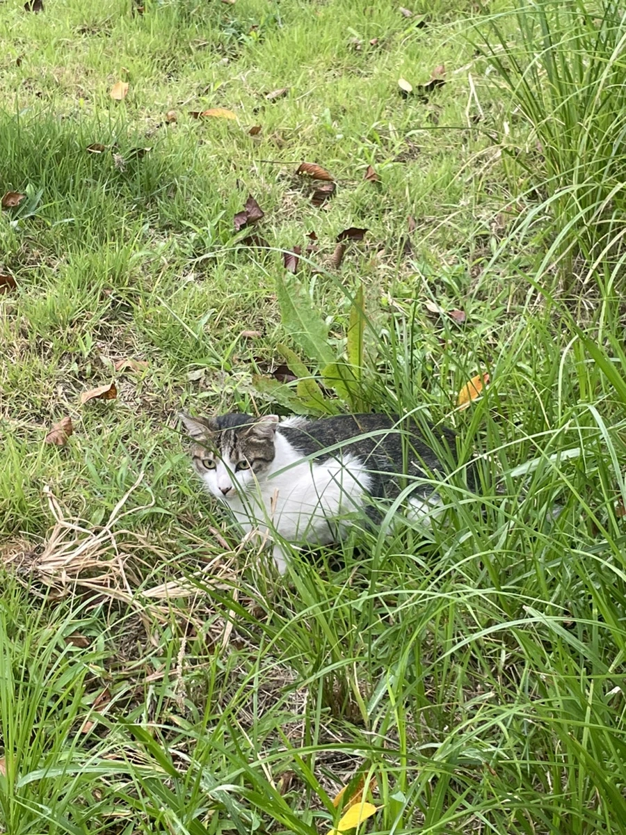 IMG_1537.jpg?type=w1