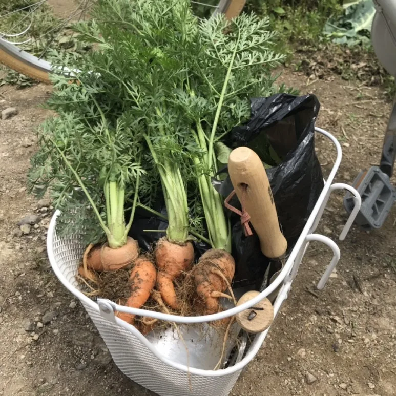 IMG_2664.jpg?type=w773&jopt=2