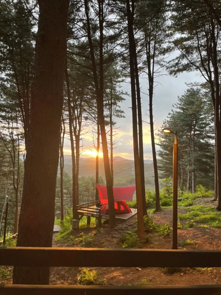 IMG_0845.jpg?type=w773&jopt=2