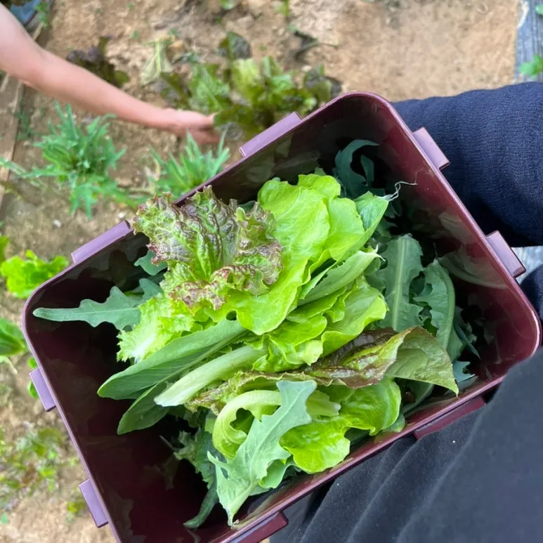 SE-a7d846dd-6a6b-41f5-b74b-2b9d01911f1c.jpg?type=w773&jopt=2