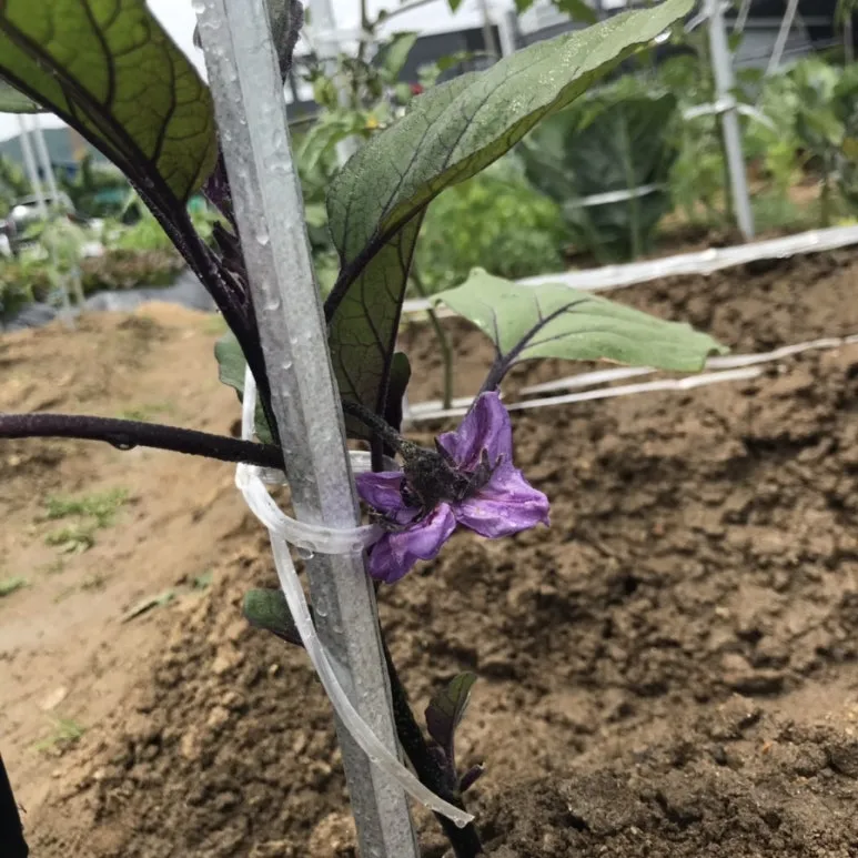 IMG_2669.jpg?type=w773&jopt=2