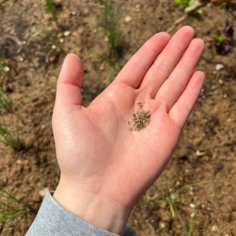 output_2561601813.jpg?type=w773&jopt=2