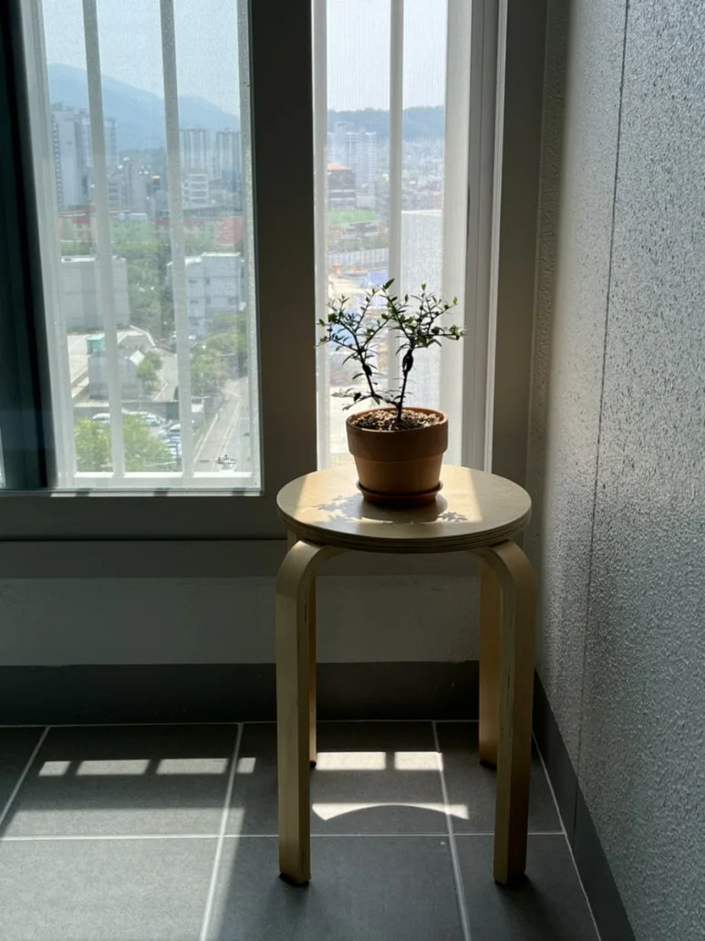 IMG_7140.jpg?type=w773&jopt=2