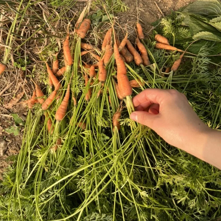 output_811770358.jpg?type=w773&jopt=2