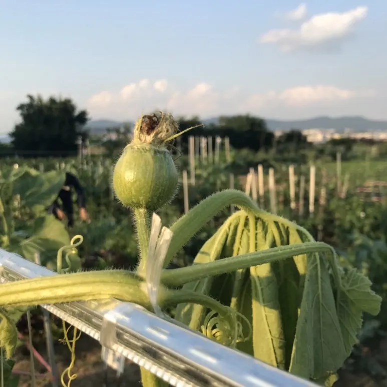 IMG_3210.jpg?type=w773&jopt=2