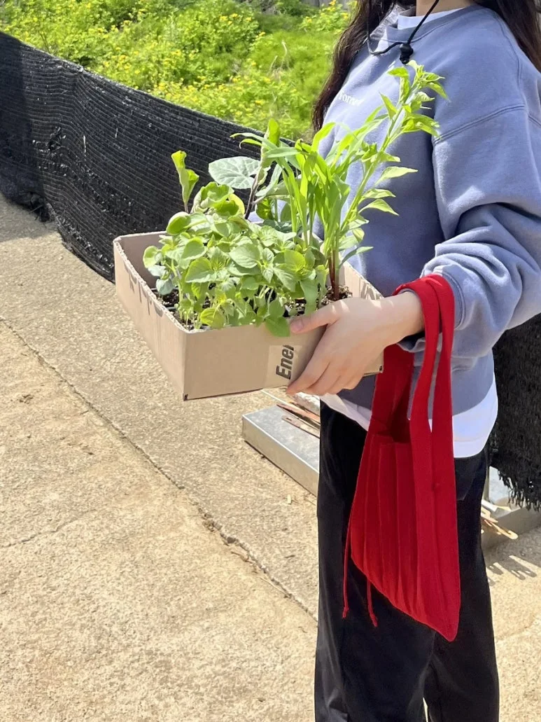 IMG_1171.jpg?type=w773&jopt=2