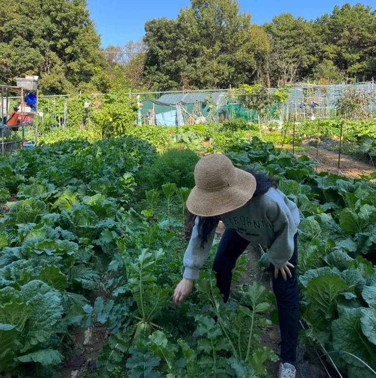 SE-32aecfdc-1f38-4ca7-85ac-a2a6c1f50c92.jpg?type=w773&jopt=2