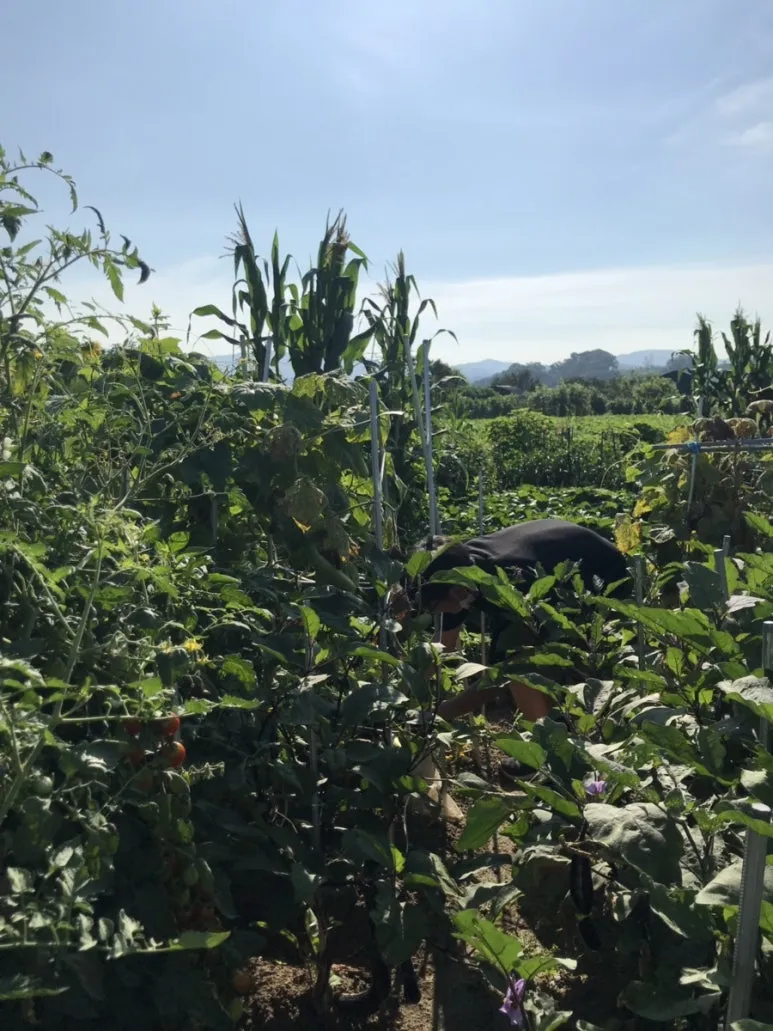 IMG_3865.jpg?type=w773&jopt=2