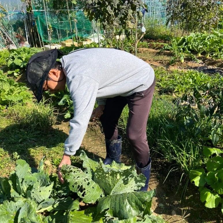 SE-82E5BAAE-646A-42E0-8606-370301DF36EF.jpg?type=w773&jopt=2