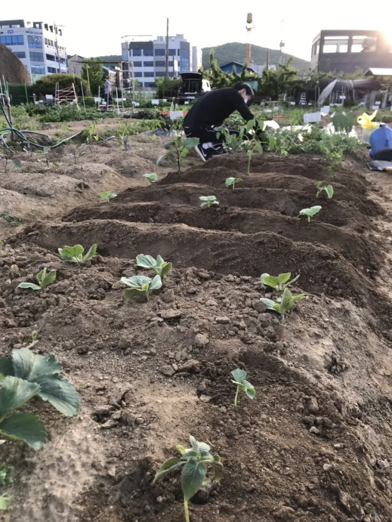 IMG_2361.jpg?type=w773&jopt=2