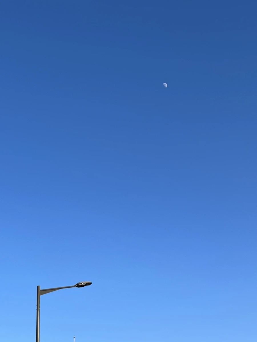 IMG_1943.jpg?type=w1