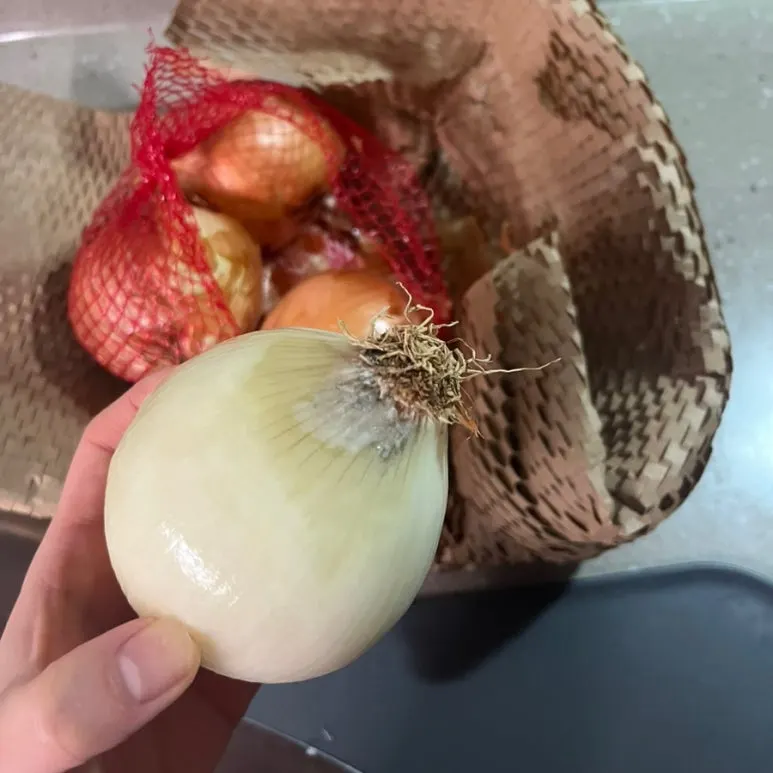 output_938618917.jpg?type=w773&jopt=2