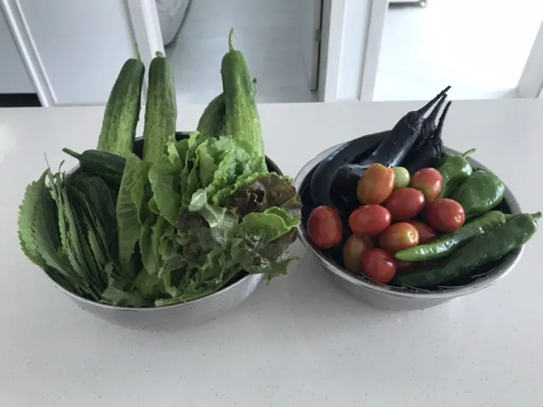 IMG_3724.jpg?type=w773&jopt=2