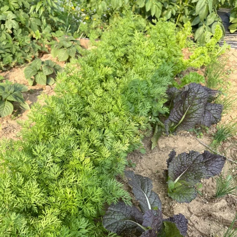 output_1649055655.jpg?type=w773&jopt=2