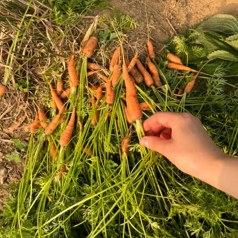 SE-E3A5C14C-6506-49B1-848B-0D2934CADCD3.jpg?type=w773&jopt=2