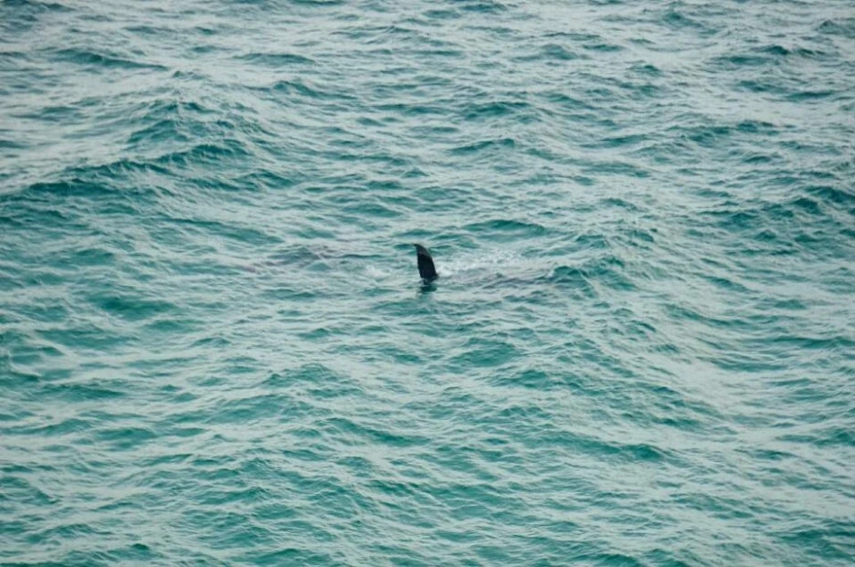 KakaoTalk_20181015_143146575.jpg?type=w1