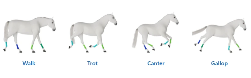 hvZ0_j_EnFsPqVxCs66Ed-_acmmzaQmmuYvaKT4GpPpoX9zzRNdU2qbhnPmxPxYON1krouq7EJh8i4JKfJSsMPl_vkl-O3Mj6l-_UKq5YPdU6f-qr84pI_EZP-l9NFVcVNvzSqVq