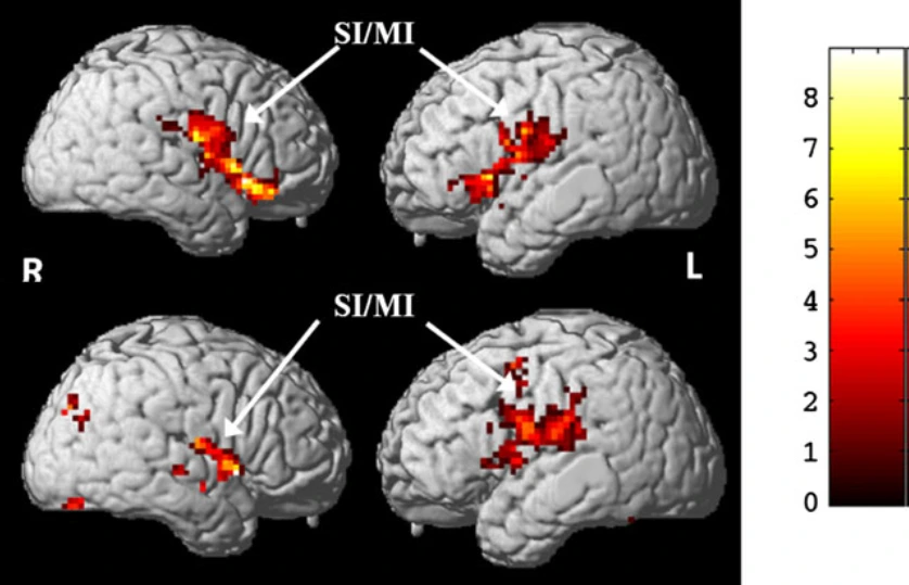 yhoGi5Ch6rWHaNOJf2XyEC6nZQsQNFtpro91Cp35wjjMsXqrshPnQCzkJplQiei7mPvYo9kGGvrpCO6H-bH3oyqjpTyCMptx79-4tFHH_GDsi5ahWgyI-CUuMrG_WoU2jFmCiMDjhKOdQJ2N37cpfWQ