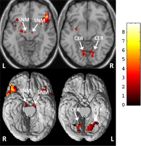 BaHBnKEBaE3KGgIGlKxcKHdpyujhzzN5FE-eiGYBGgt9quyUXTkO-C8xtzPcgtBQRYKB8bAgmsMz6KzO2XdgOP4KvBKhFm6Ya1lzHgcKS-L15zaERNY3wQFxUolhvIuTw5VTNC0KguJQwDAhAWekdoE
