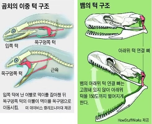 -DZjSF5ztd93GLkcr9eIZduc5ZI